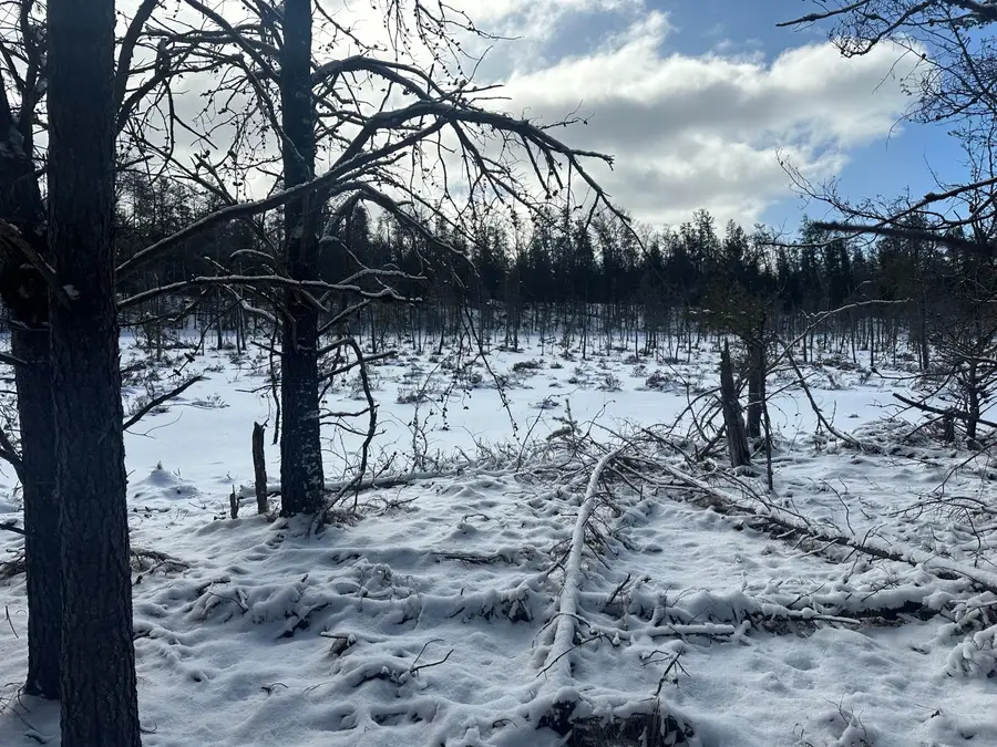 7251 S Clay Banks Road, Baldwin, MI 49304 - #3