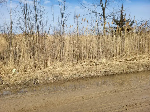 0 Carleton West Road, New Boston, MI 48164