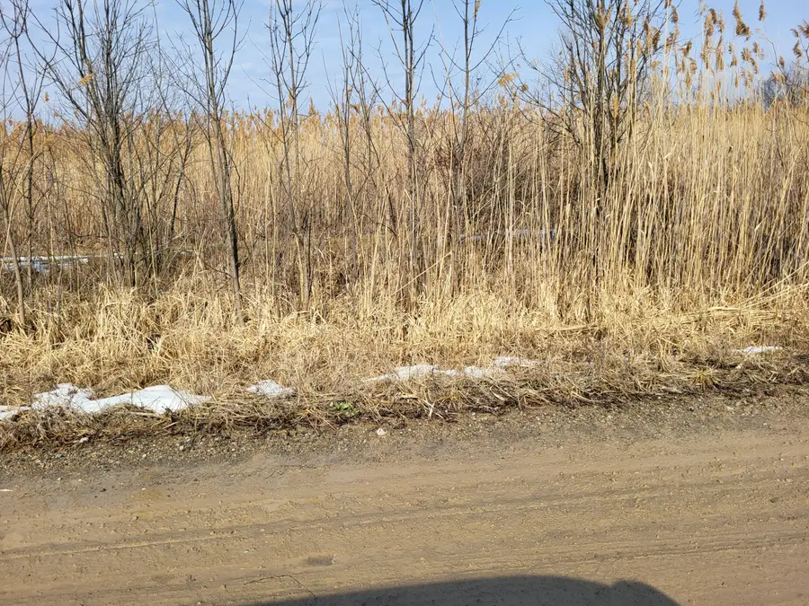 0 Carleton West Road, New Boston, MI 48164 - #3