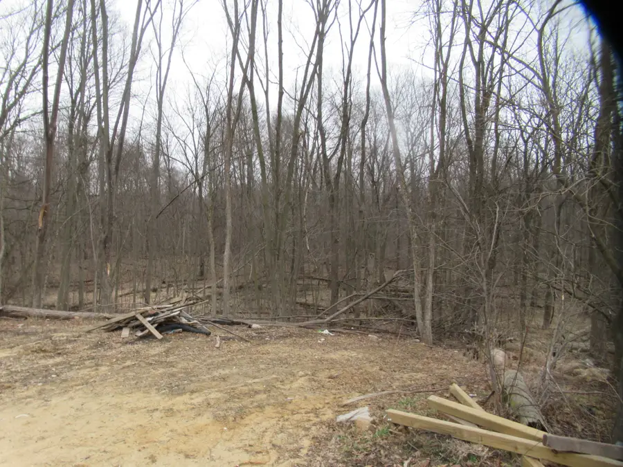 Williamsville Street, Cassopolis, MI 49031 - #2
