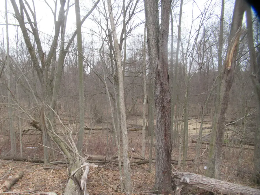 Williamsville Street, Cassopolis, MI 49031 - #3