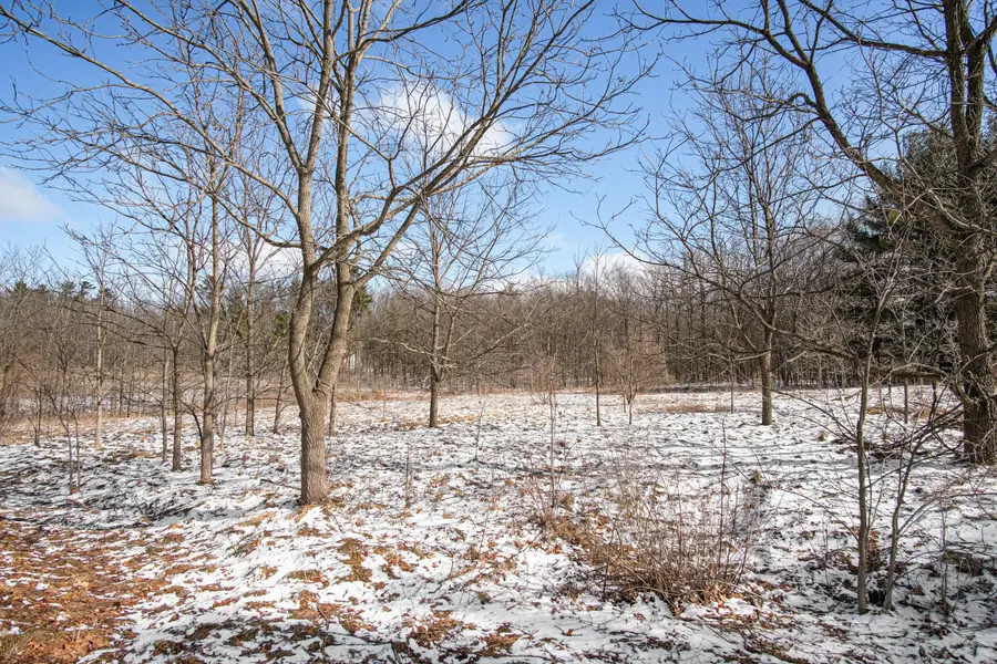 11450 Tefft Avenue Ne, Rockford, MI 49341 - #2