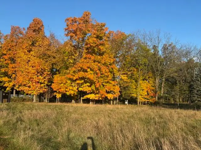 5476 Sundowner Lane, Kalamazoo, MI 49009 - #3