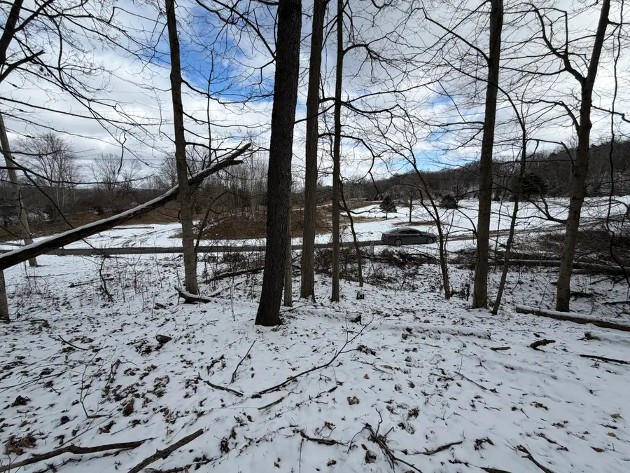 LOT 65 Hosford Drive, Ionia, MI 48846 - #2