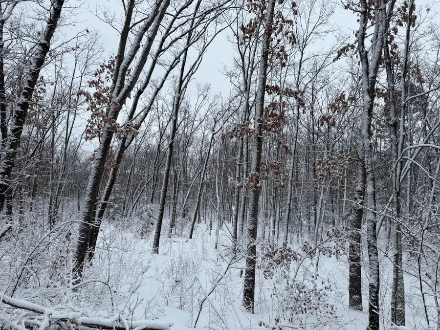 Steinberg Road, Wellston, MI 49689 - #3