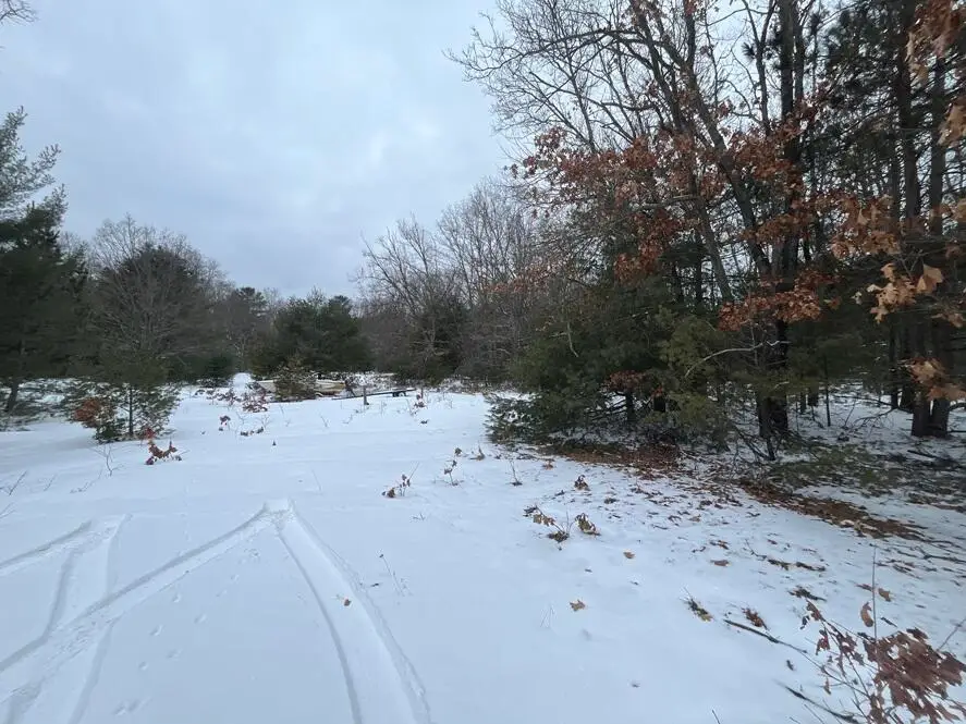 121 W Pierce Drive, White Cloud, MI 49349 - #2