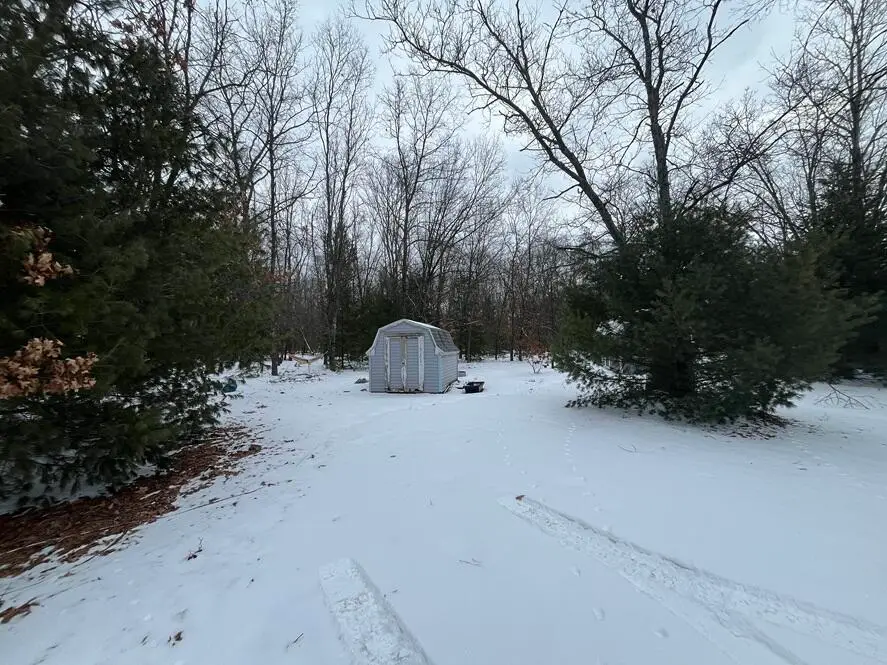 121 W Pierce Drive, White Cloud, MI 49349 - #3