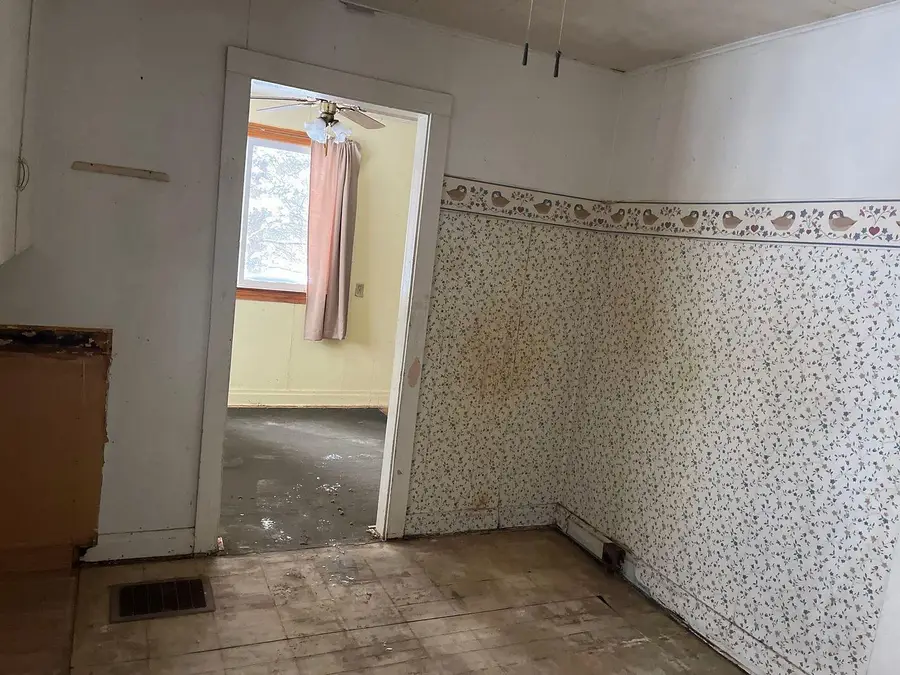 343 E Dubois, Idlewild, MI 49642 - #3