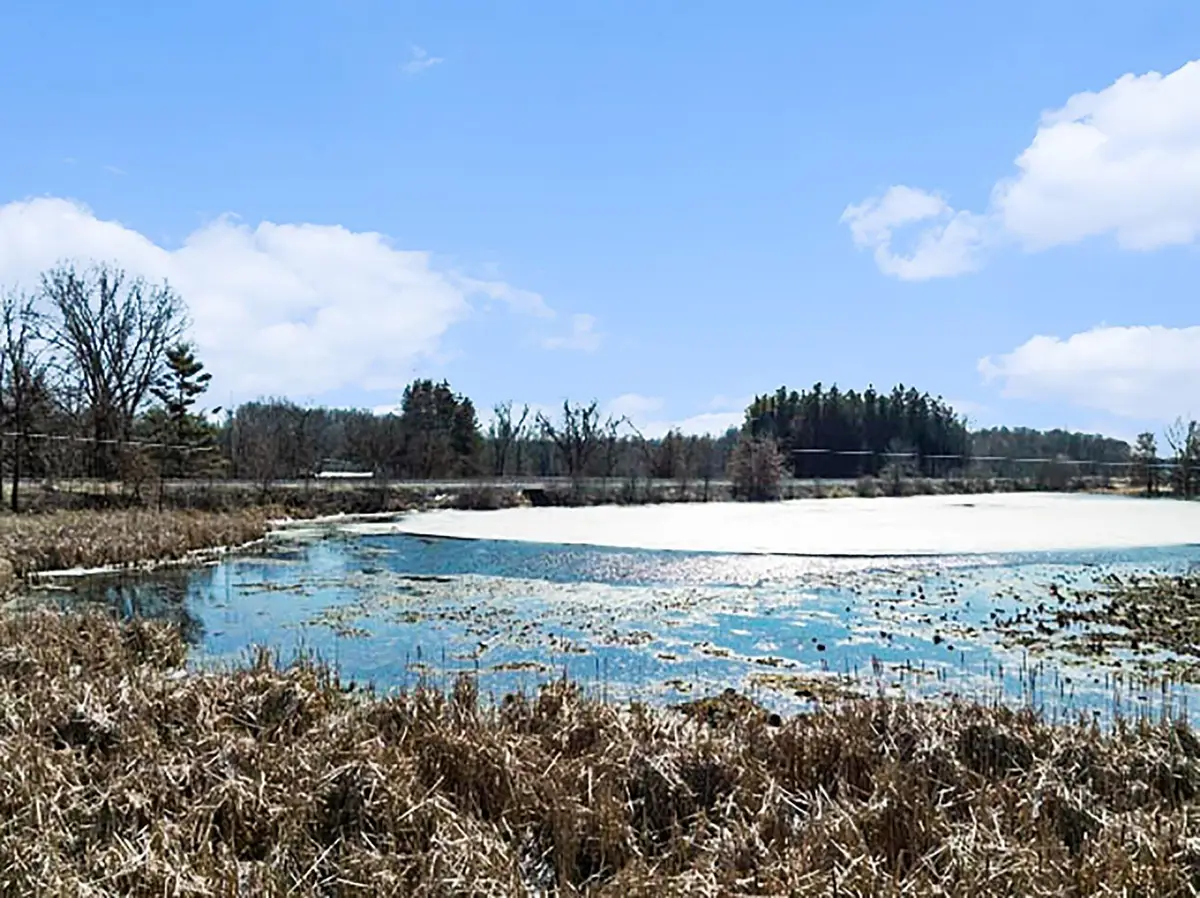 Winter Street, Albion, MI 49224 - #1