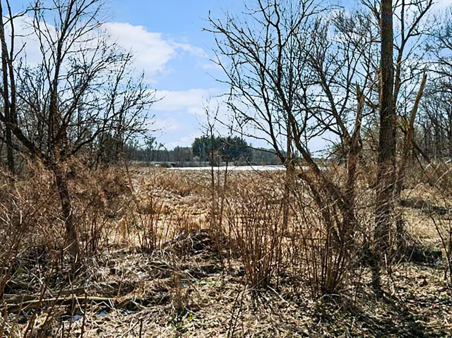 Winter Street, Albion, MI 49224 - #2