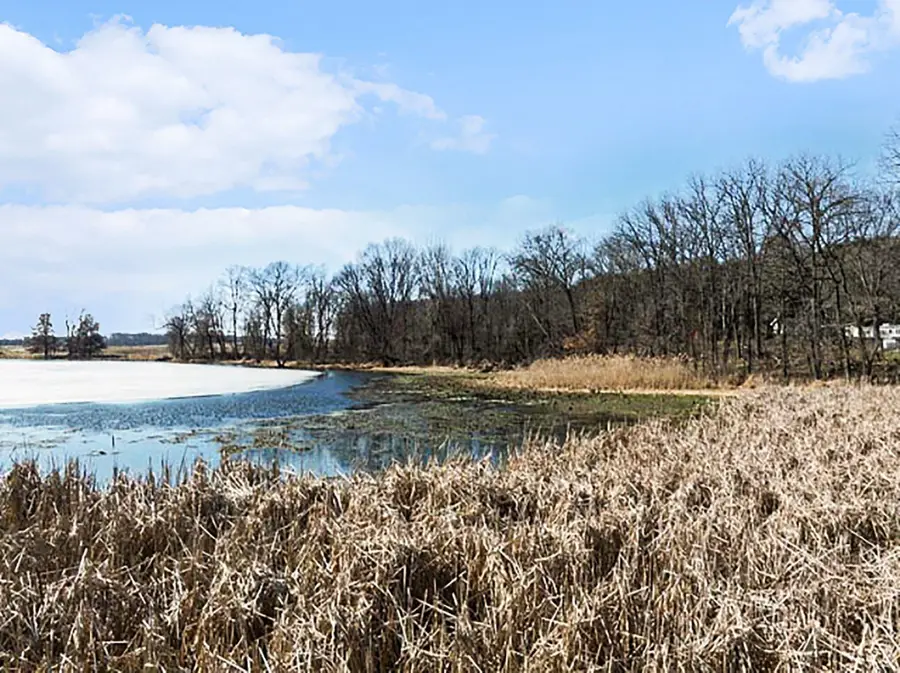 Winter Street, Albion, MI 49224 - #3