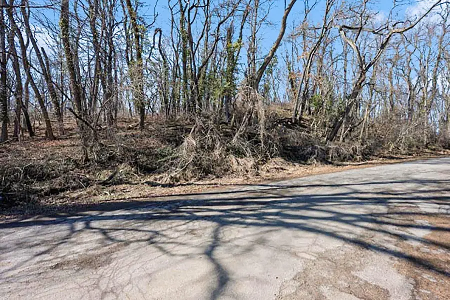 Mill Street, Albion, MI 49224 - #2