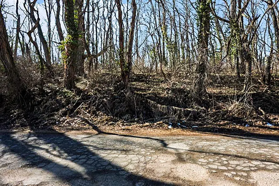 Mill Street, Albion, MI 49224 - #3