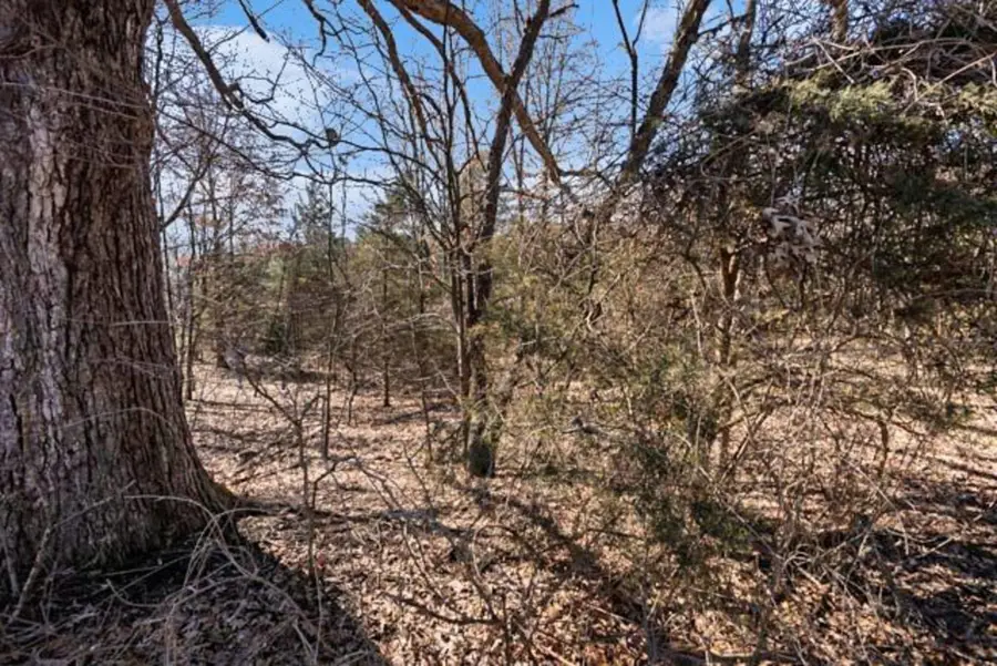 State Street, Albion, MI 49224 - #2