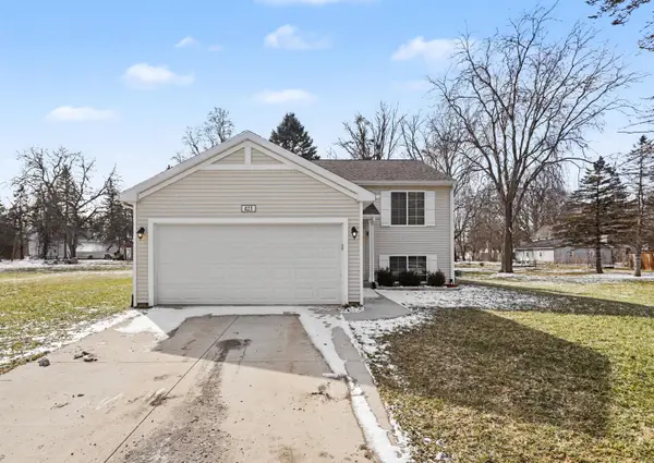 423 E Ellsworth Street, Bellevue, MI 49021