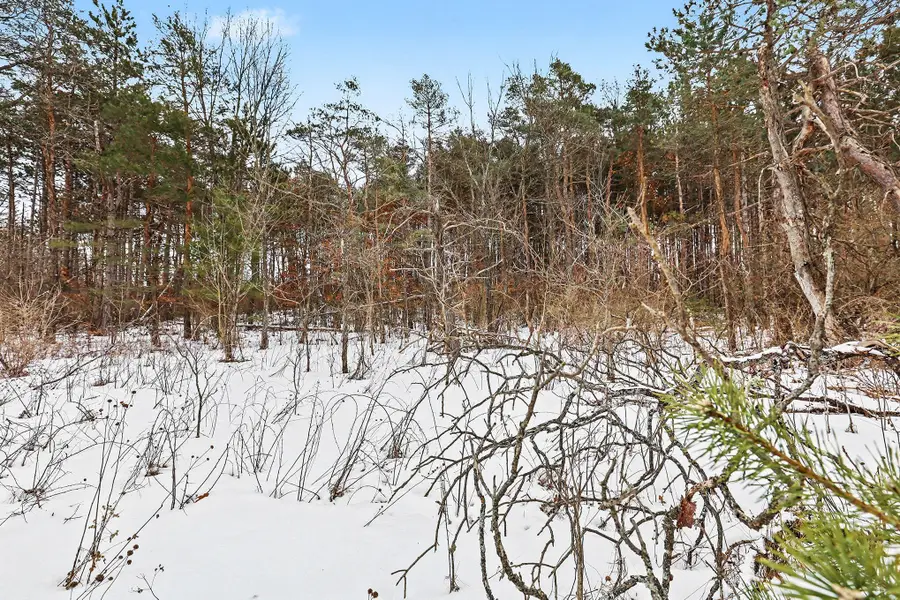 3618 Russell Street Ne, Cedar Springs, MI 49319 - #3