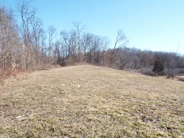 VL Brills Lake Road, Jackson, MI 49201