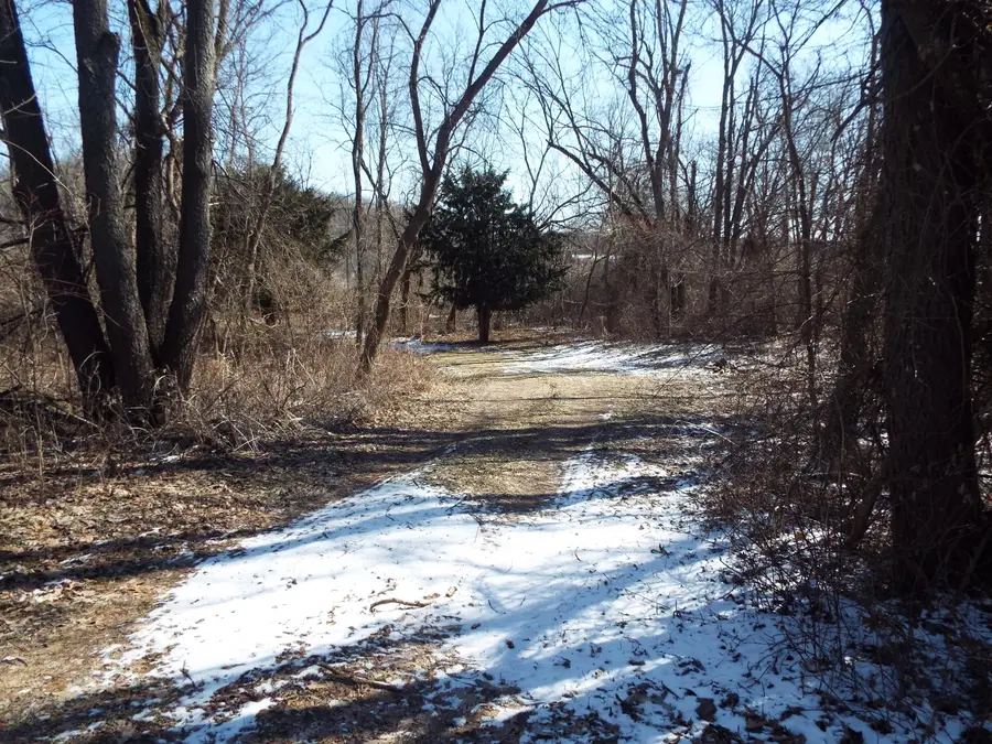 VL Brills Lake Road, Jackson, MI 49201 - #2