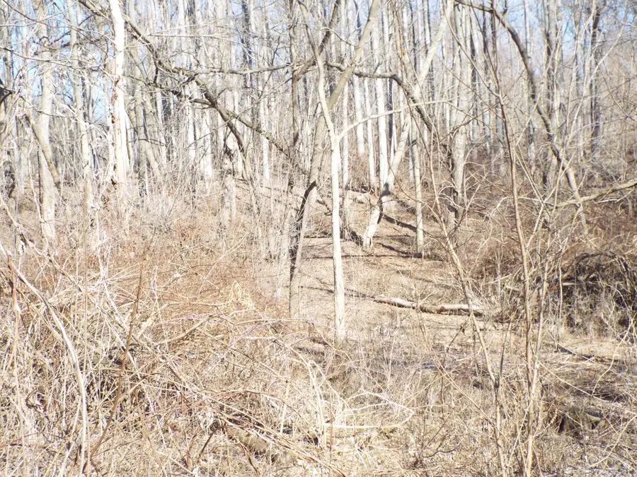 VL Brills Lake Road, Jackson, MI 49201 - #3