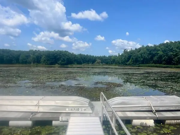 6142 N Sunshine Drive, Irons, MI 49644