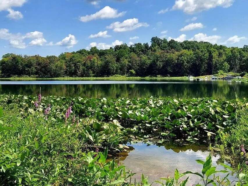 41823 Waukeenah Drive, Paw Paw, MI 49079 - #2