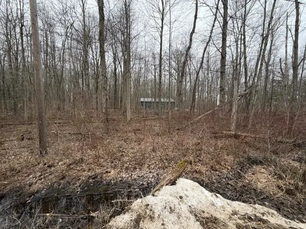 40000 BLK Sycamore Drive, Bangor, MI 49013