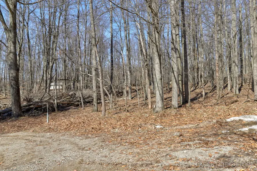 11270 Apache Wells Court, Canadian Lakes, MI 49346 - #2