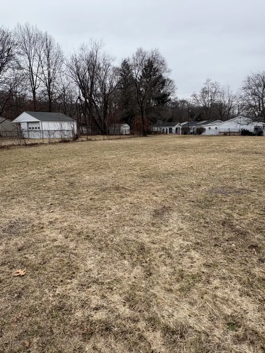 219 Redner Avenue, Battle Creek, MI 49037 - #2