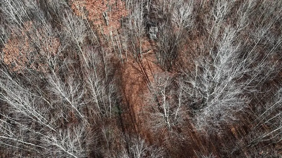 6495 Jackson Avenue, Lake, MI 48632 - #2