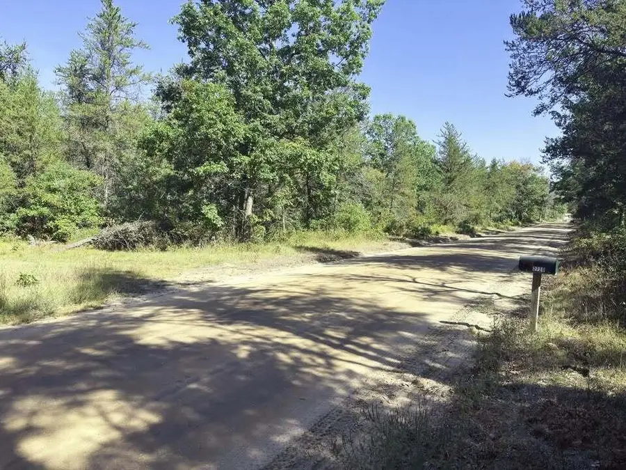 2720 E 40th Street, Idlewild, MI 49642 - #2