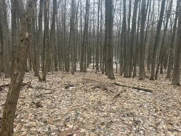 9735 Pere Marquette Drive, Canadian Lakes, MI 49346