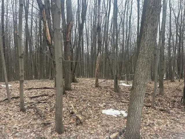 9735 Pere Marquette Drive, Canadian Lakes, MI 49346 - #2