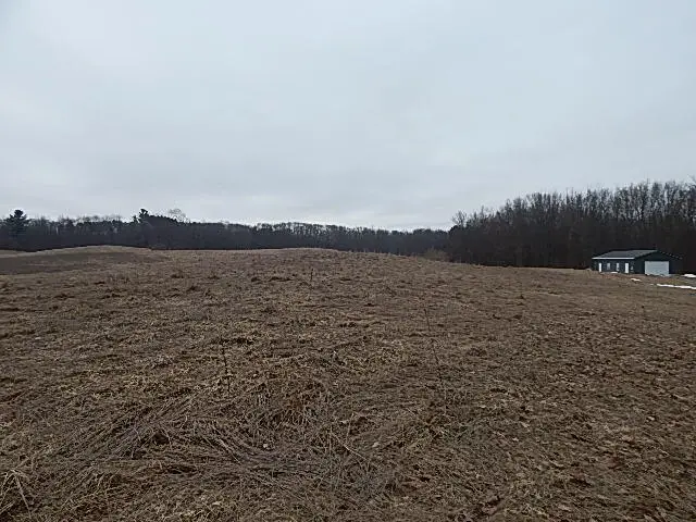 773 39th St Street, Allegan, MI 49010 - #2