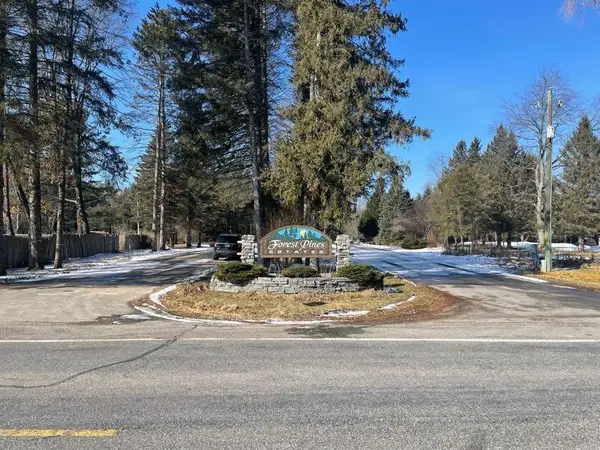 9098 Forest Pines Drive, Mecosta, MI 49332