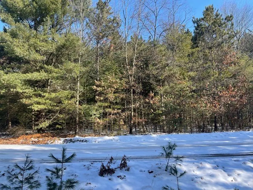 9098 Forest Pines Drive, Mecosta, MI 49332 - #3