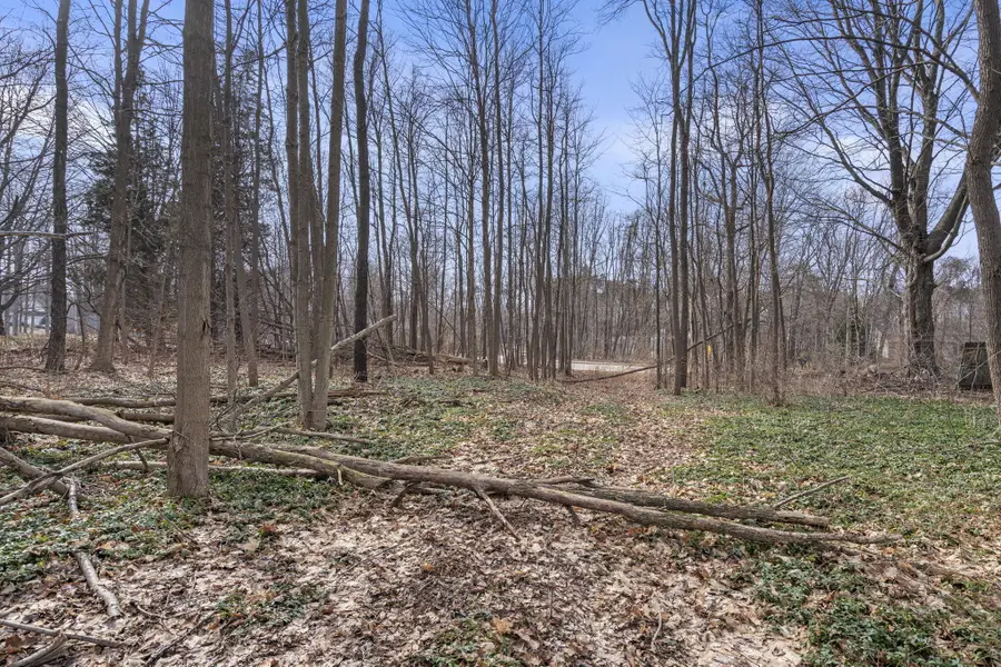 64th Street, Holland, MI 49423 - #2