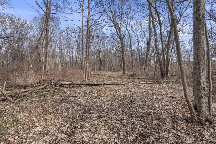 64th Street, Holland, MI 49423 - #3