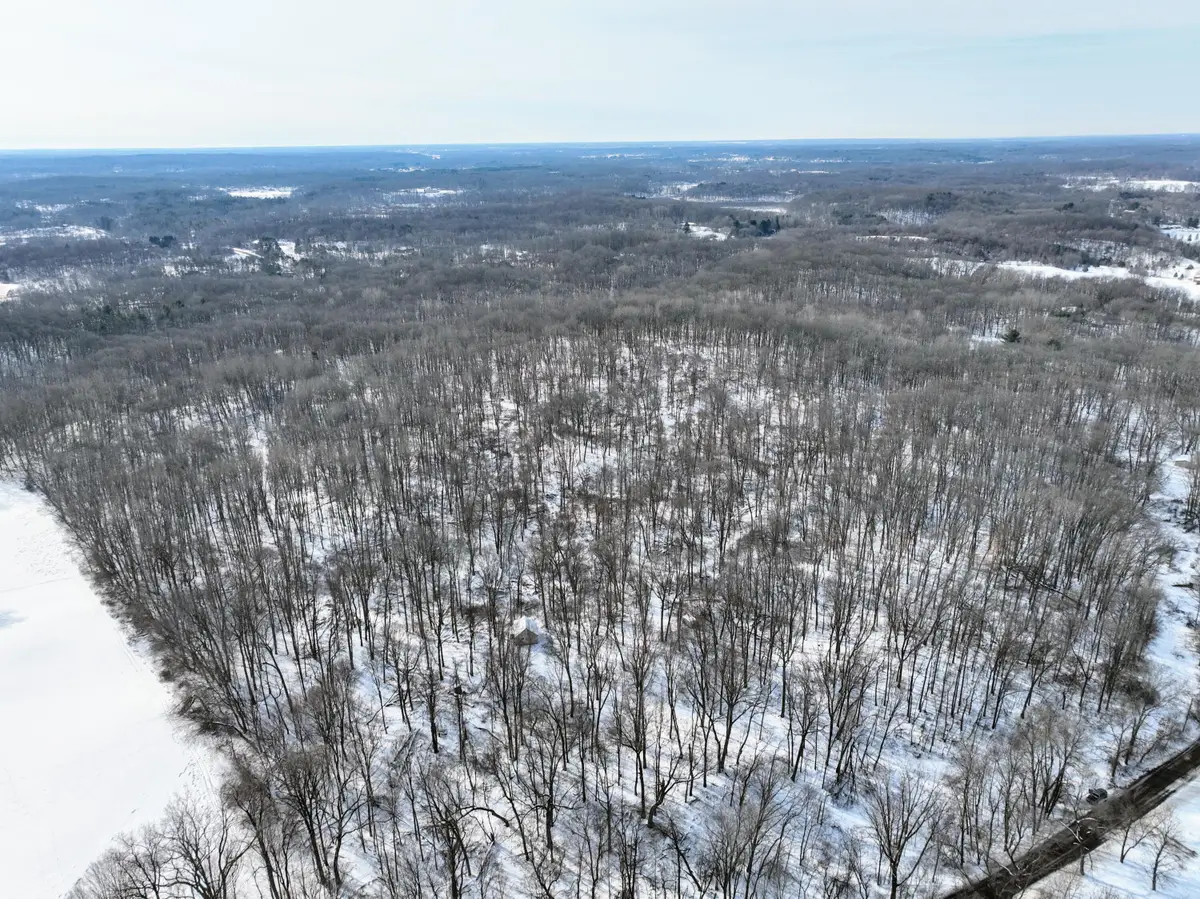 11150 W Drive N, Bellevue, MI 49021 - #1