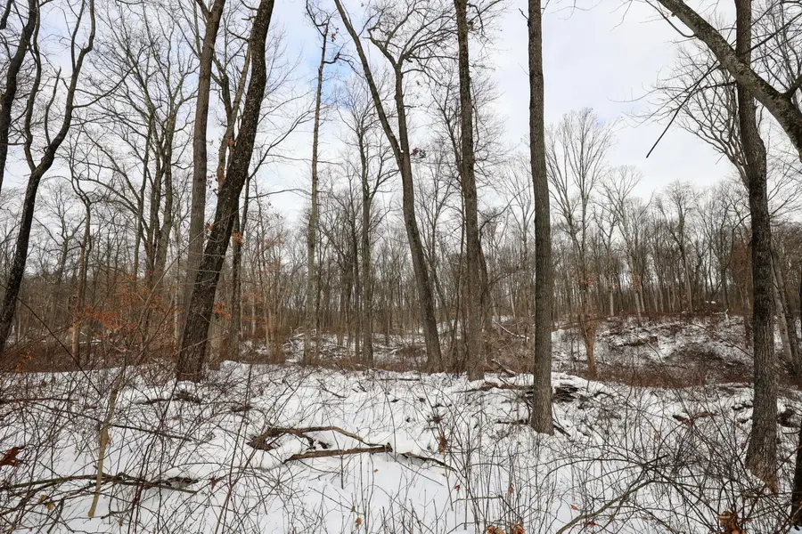 11150 W Drive N, Bellevue, MI 49021 - #2