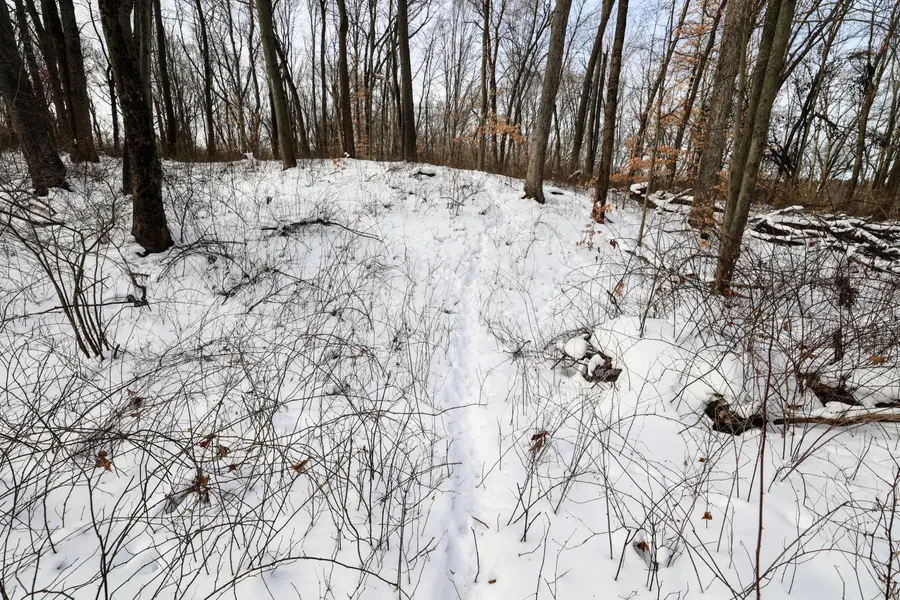 11150 W Drive N, Bellevue, MI 49021 - #3