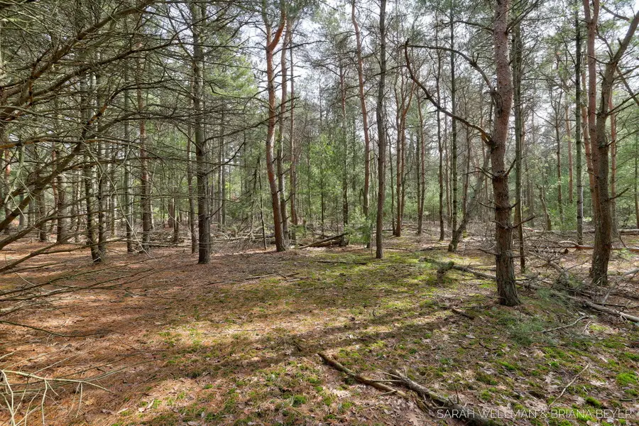 VL Hiawatha Drive, West Olive, MI 49460 - #3