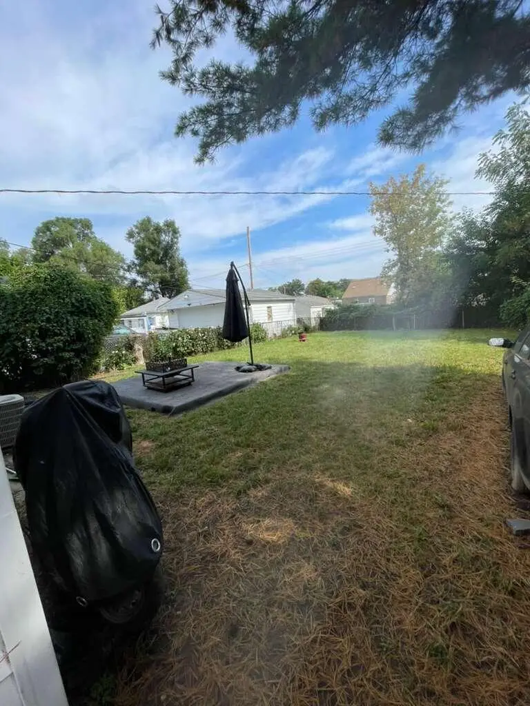 6476 Brace Street, Detroit, MI 48228 - #3