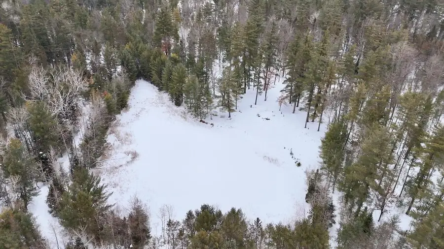 4440 W Cherry Creek Road, Lewiston, MI 49756 - #2