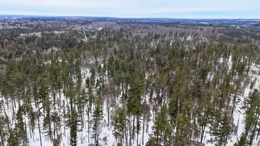 4440 W Cherry Creek Road, Lewiston, MI 49756 - #3