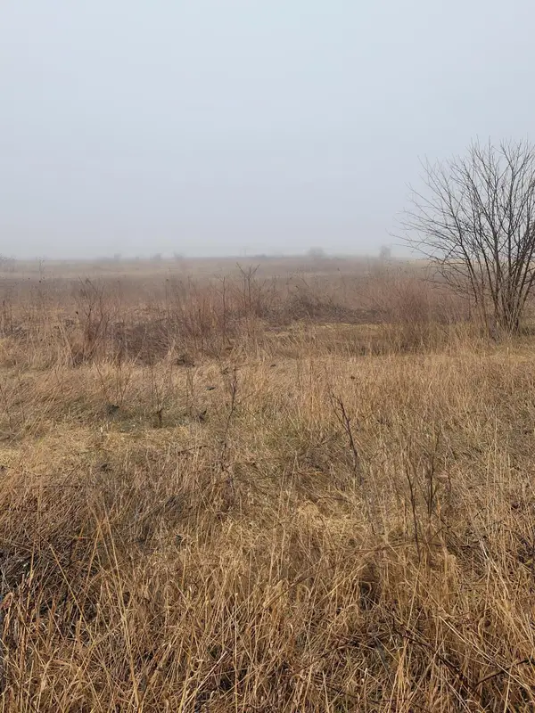 62nd Street, Fennville, MI 49408