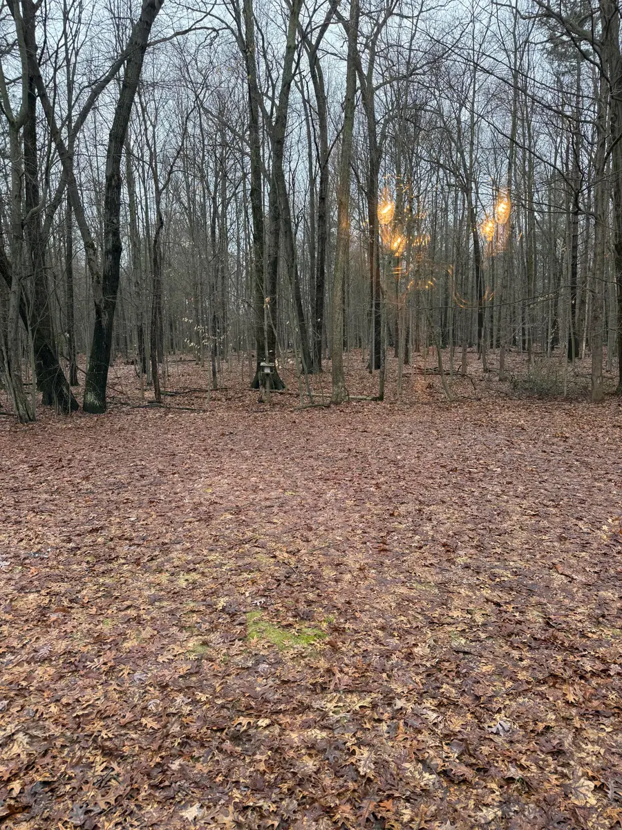 5305 Stanton Boulevard, Montague, MI 49437 - #3