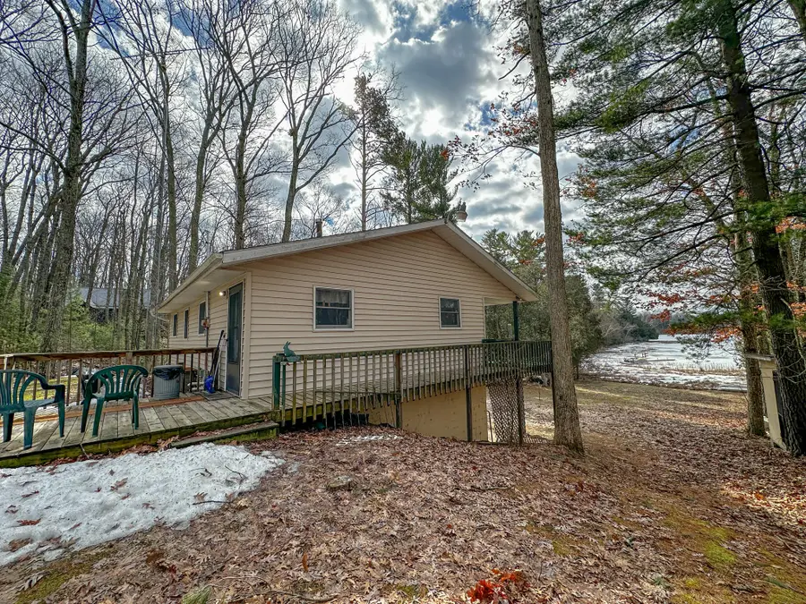 8827 W Elbow Drive, Irons, MI 49644 - #2