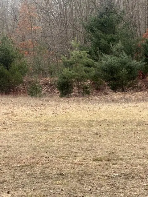 0 W 100th Street, Grant, MI 49327 - #2