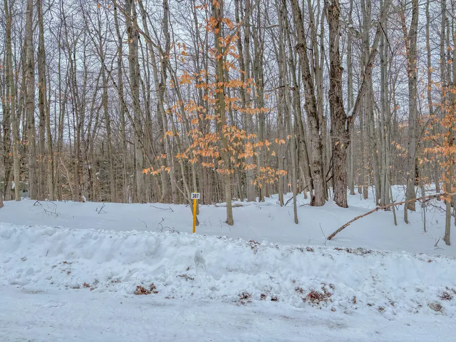 12349 Wagon Wheel Trail #386, Canadian Lakes, MI 49346 - #3