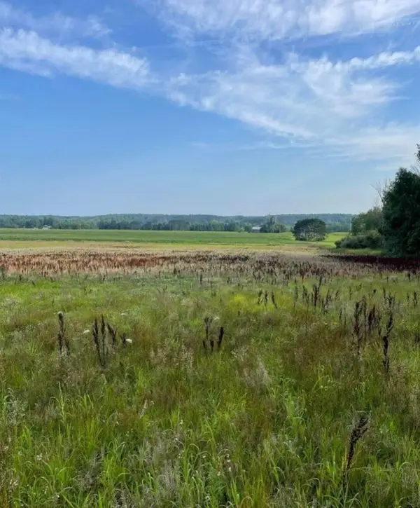 10 Acres +/- 3 Mile Road, Reed City, MI 49677